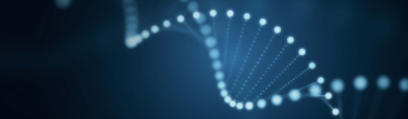 PCR and qPCR Products