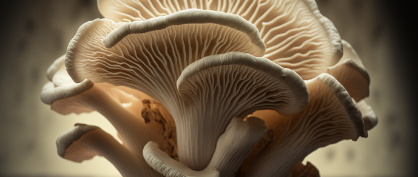 Fungal Future: Exploring the Potential of Mushroom Computing