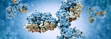 lab-reporter-feature-article4-monoclonal-antibodies