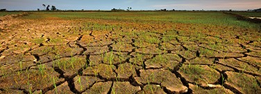 Laying the Groundwork for Soil Moisture Monitoring