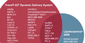 Selecting the Best Transfection Method