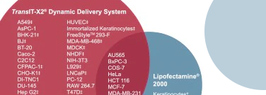 Selecting the Best Transfection Method