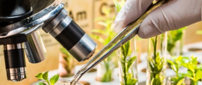 Advancing Agriscience and the Bioeconomy